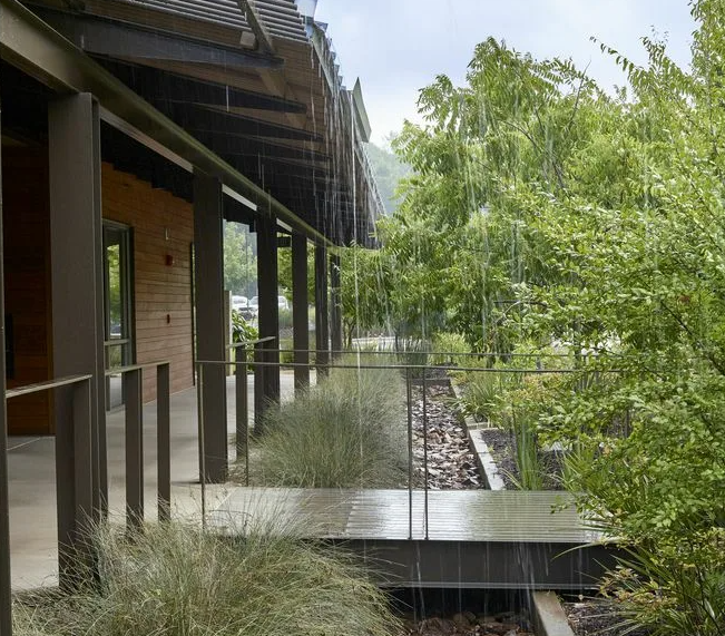 Studio team reviewing courtyard rain garden plans