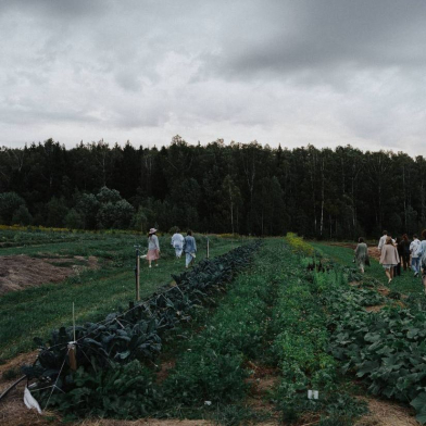 Farmers working together in an organic agricultural landscape
