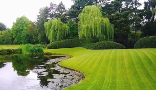 Landscape architects reviewing garden plans beside ecological planting beds
